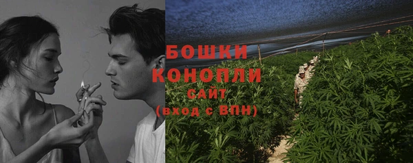 дурь Верея