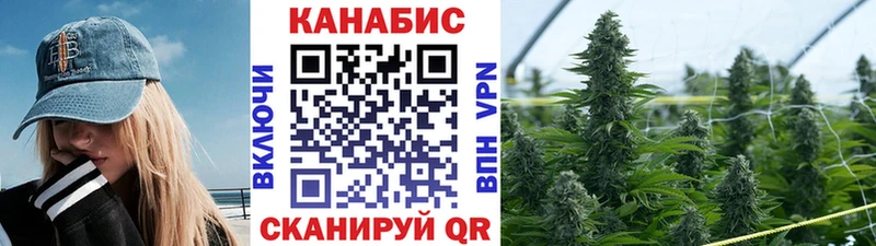 цены   Искитим  Конопля сатива 